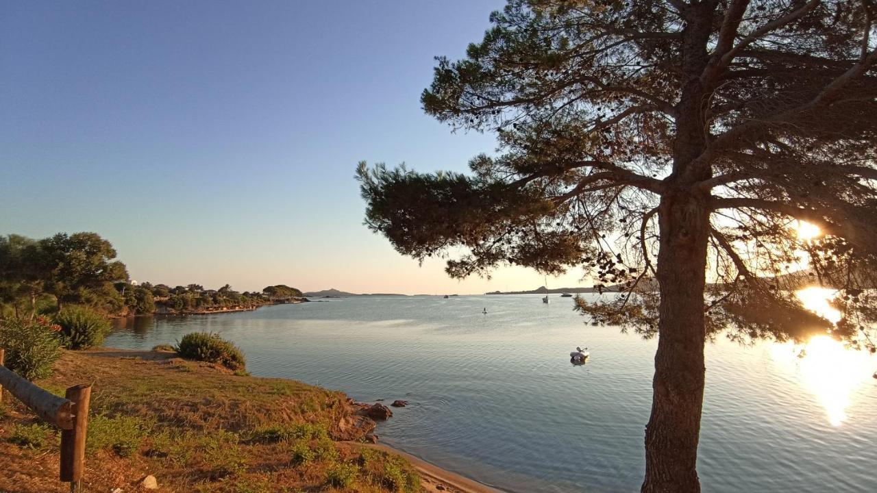 Welcomely - White Terrace - Condominio Acqualife Cannigione Εξωτερικό φωτογραφία